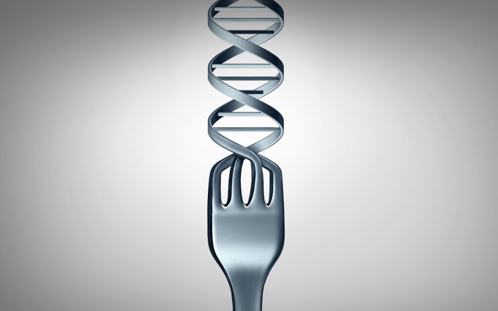 obesity gene